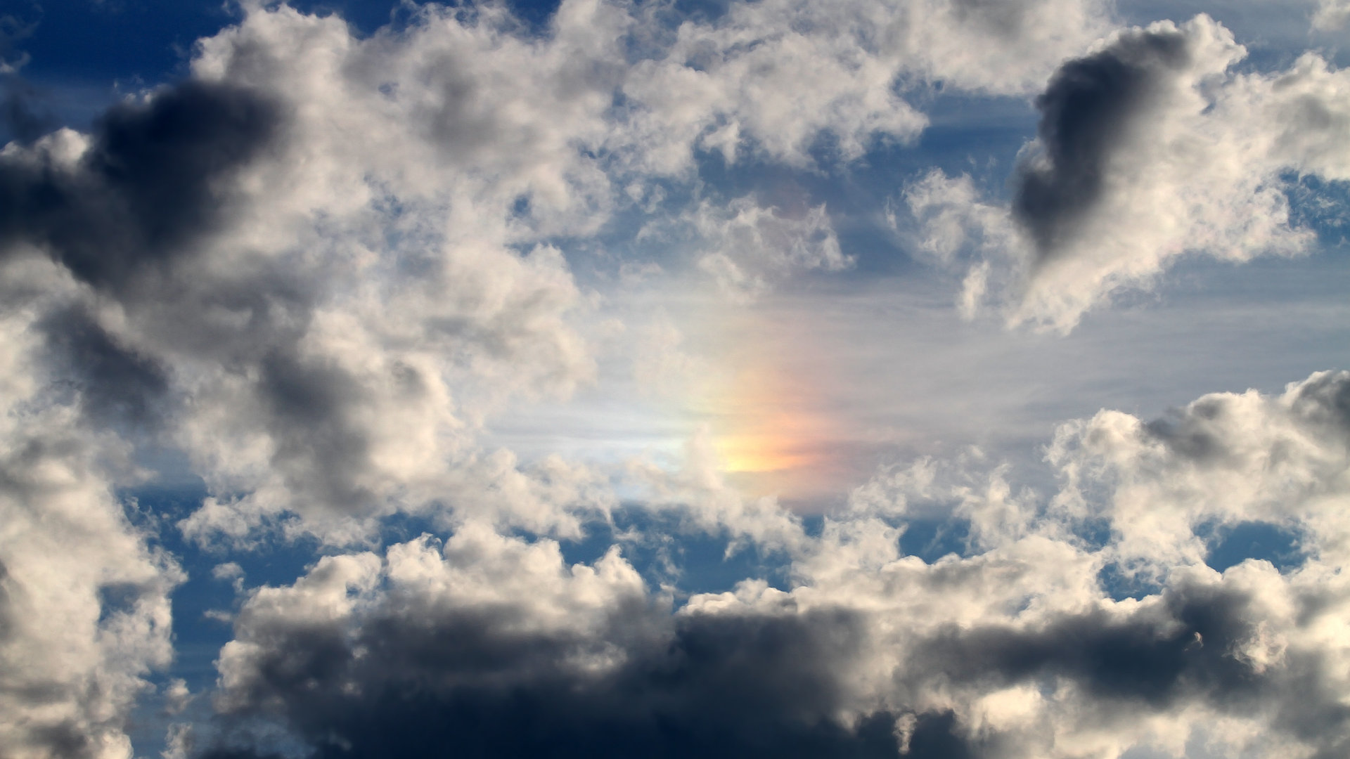 保定华信主场获胜，积分榜位置有所上升，2021华信信鸽俱乐部