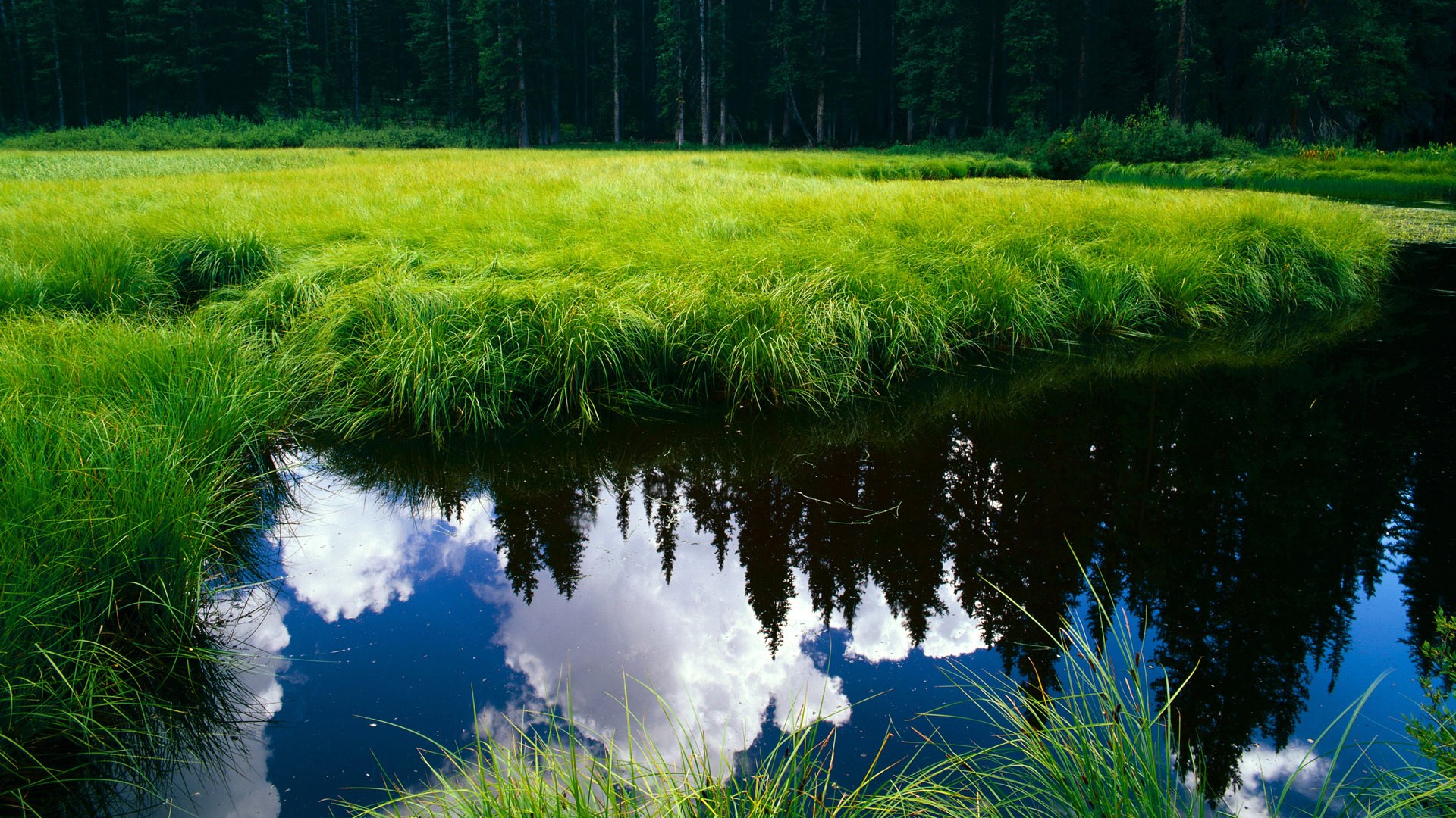 九游APP-多特蒙德客场1-1战平弗赖堡，收获平局，多特蒙德对弗赖堡的比分预测