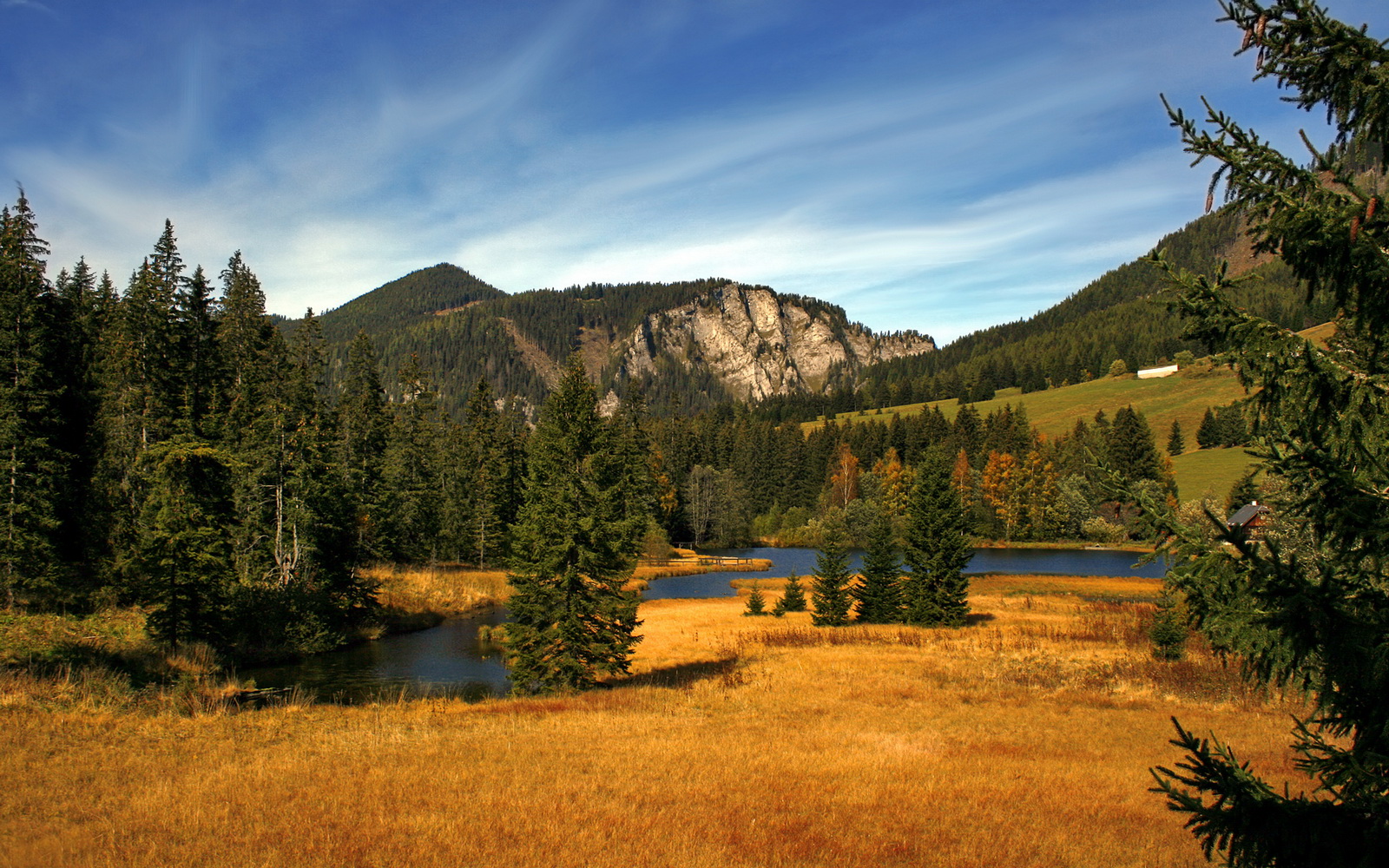 九游体育入口-备受关注！国内足球场均动人表现，中国足球场均跑动