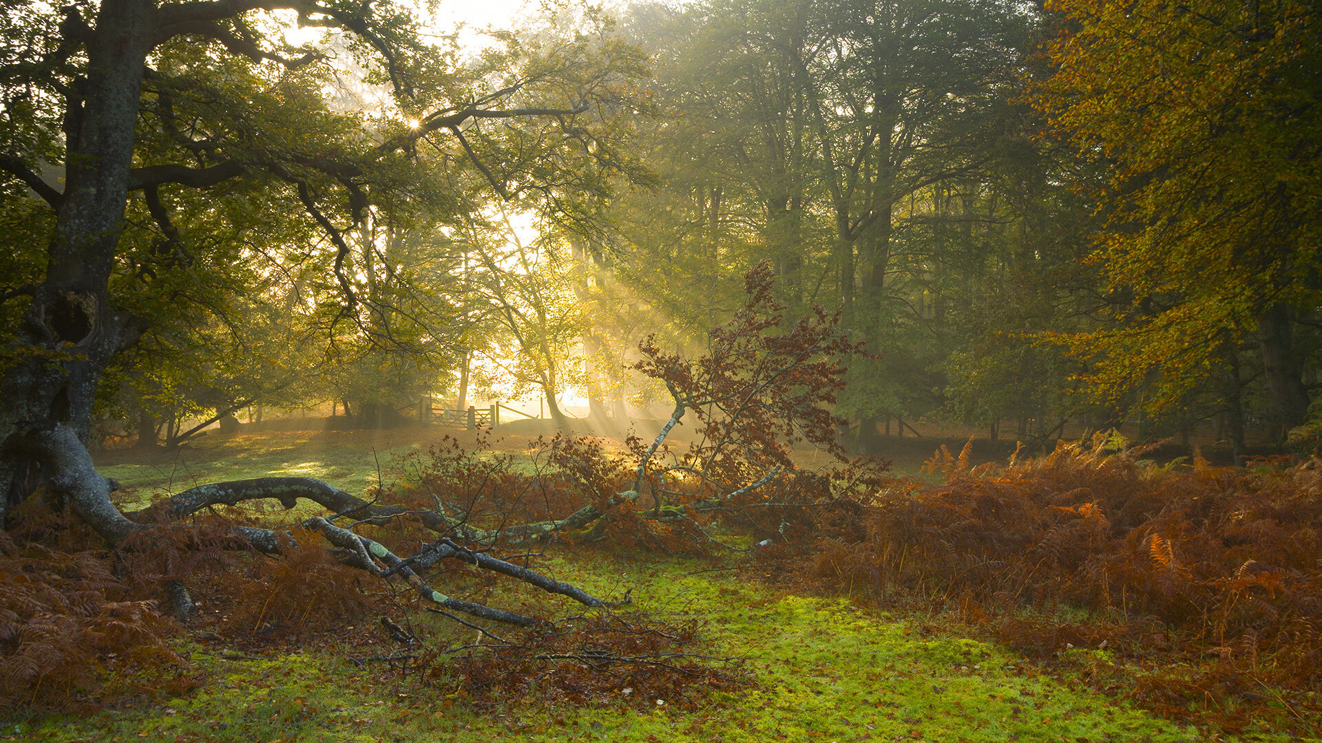 九游注册-毕尔巴鄂竞技客场2-2战平马德里竞技，表现顽强，毕尔巴鄂vs马竞直播现场