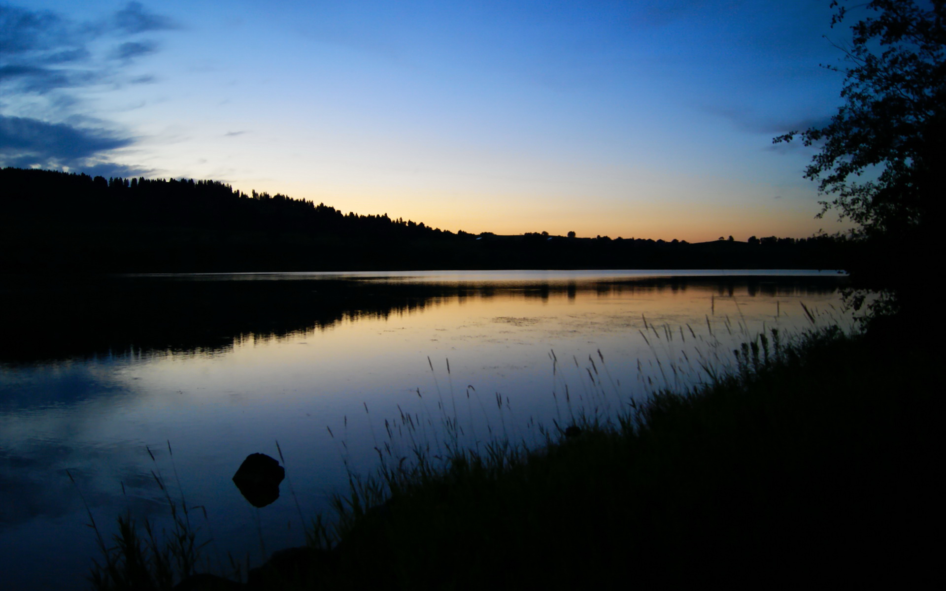 九游游戏-缅因凯尔特人队员训练营开幕，凯米尔缅因猫多少钱