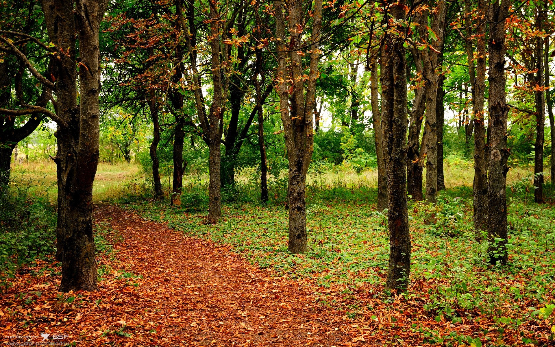 德甲球队利用神经反馈提升球员专注力和反应速度