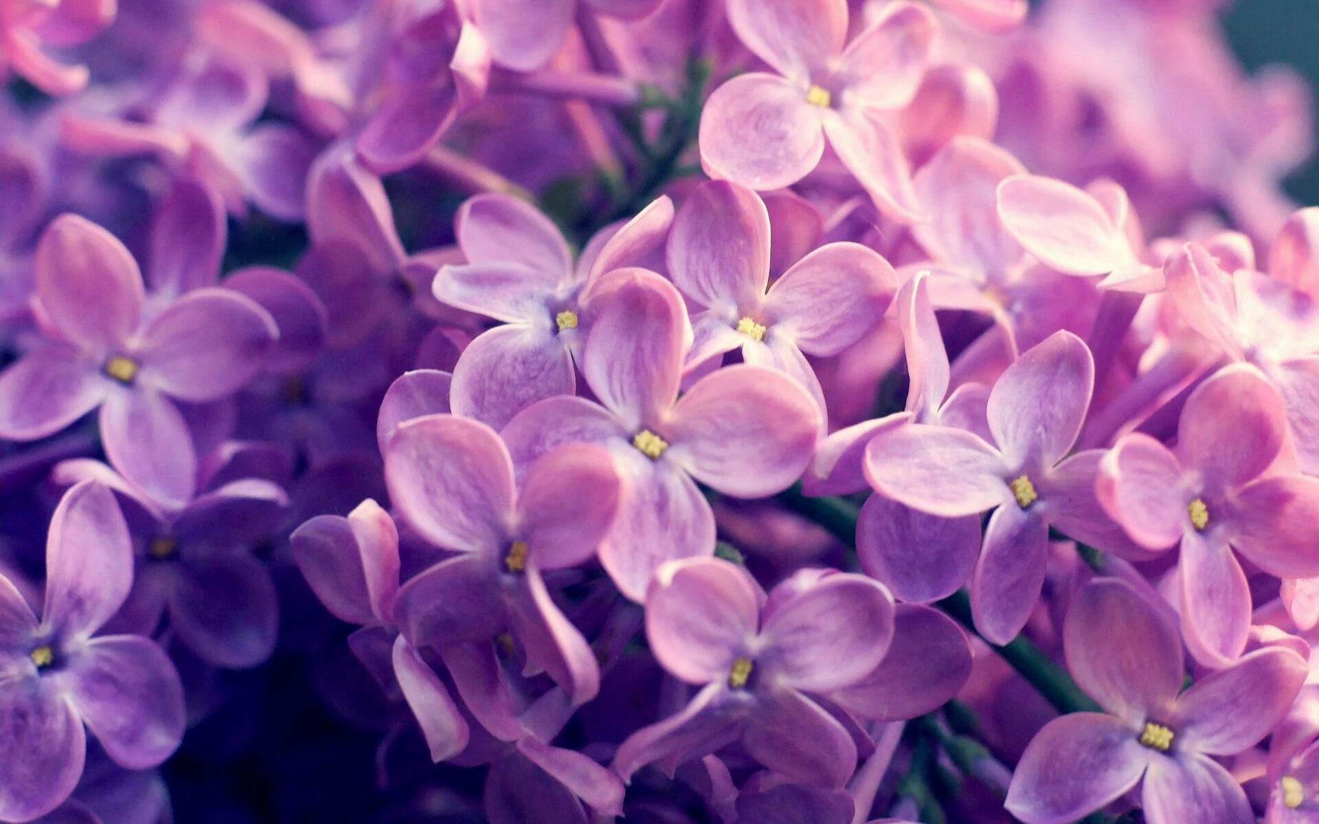 德国女将仰泳反应速度优于预期,女子仰泳世界排名