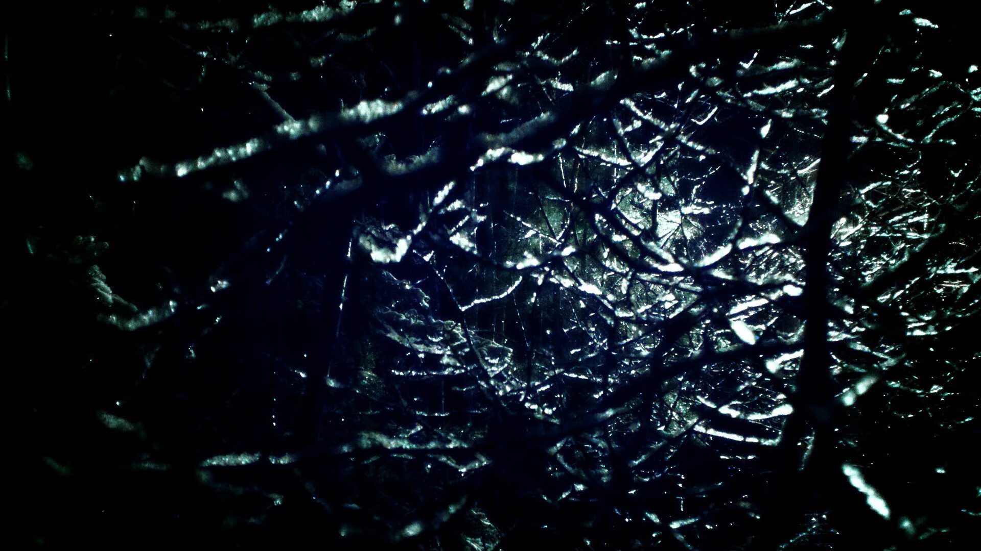 美国女子接力队赛场表现引发热议，奥运会美国女子接力赛重跑