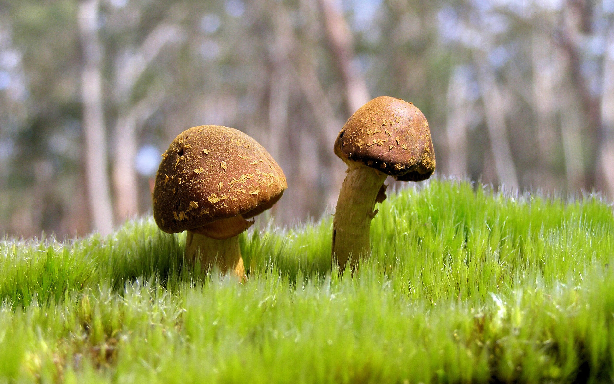 足球赛事纪录片热播，传递体育热血与奋斗精神，足球纪录片排行榜